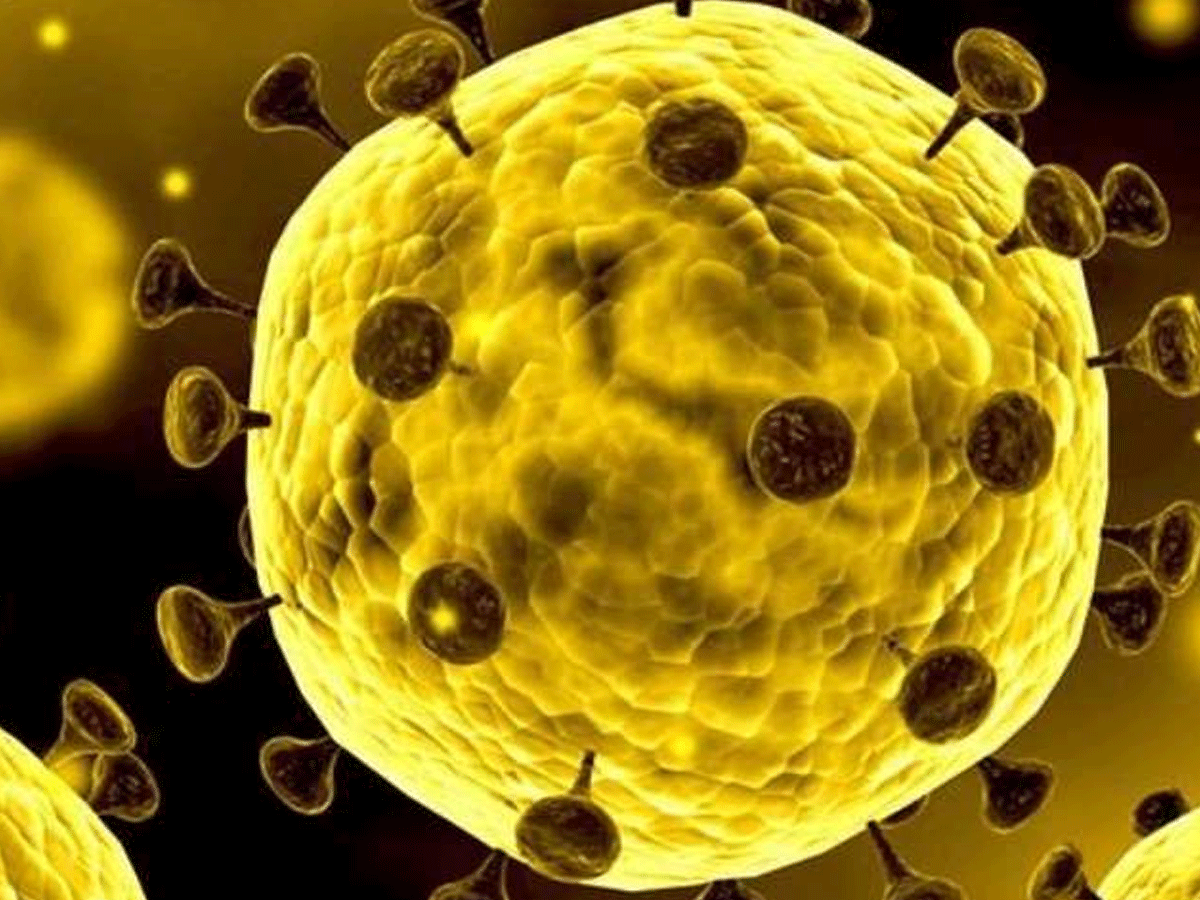 శ్రీ‌లంక‌లో డెడ్లీ క‌రోనా వైర‌స్ గుర్తింపు