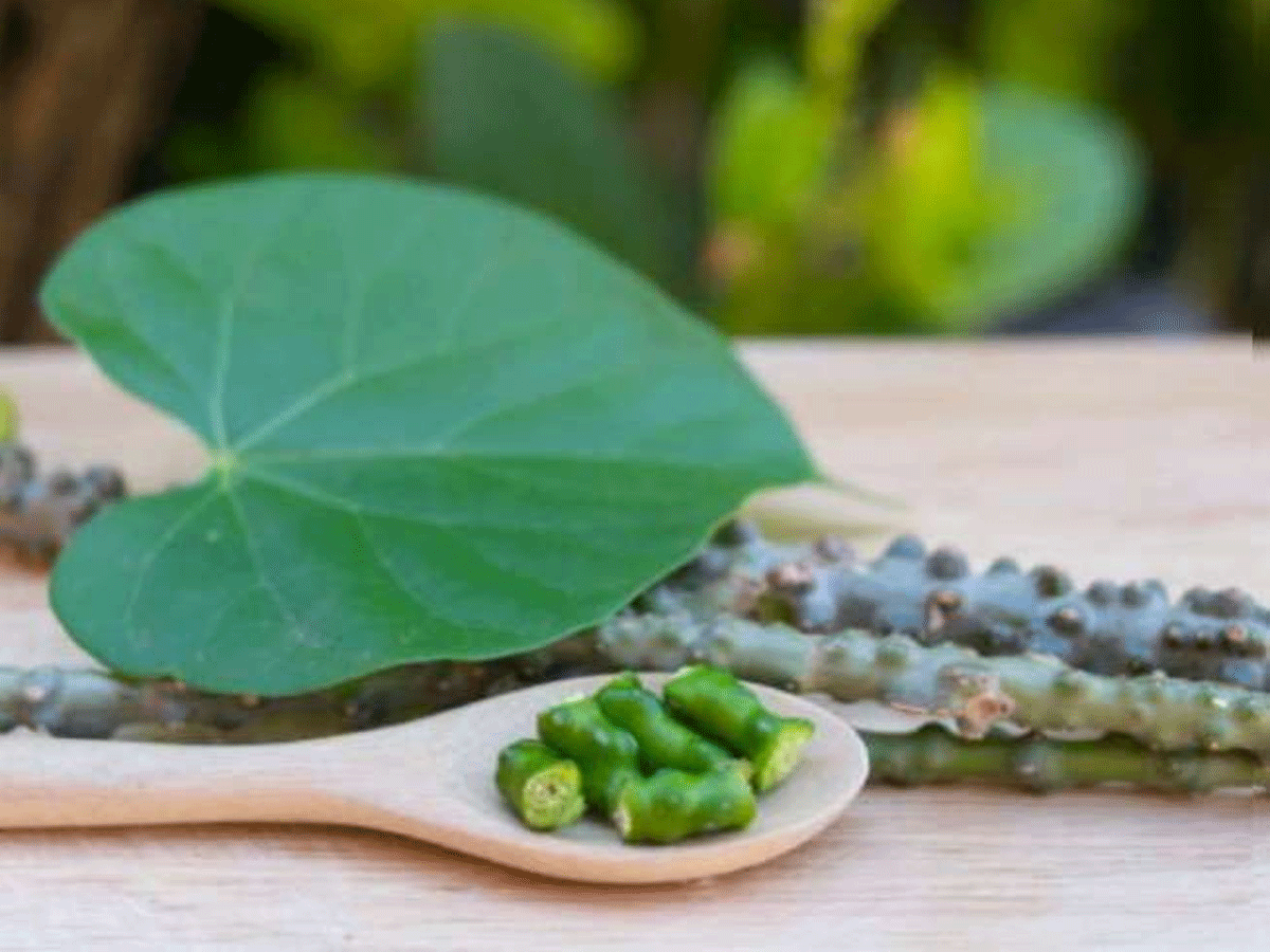 తక్కువ లక్షణాలున్న కరోనా రోగులపై ఈ ఔషధం ప్రభావవంతం: ఆయుష్ మంత్రిత్వ శాఖ