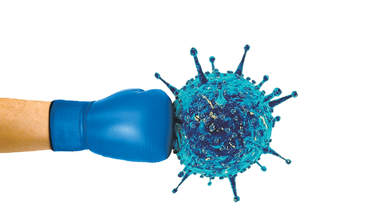 భయం వద్దు..