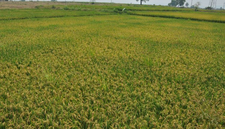 వార్షిక రుణ లక్ష్యం రూ.3,192.74 కోట్లు