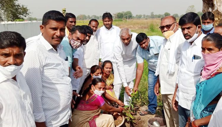 గ్రామాల అభివృద్ధికి ప్రత్యేక కృషి