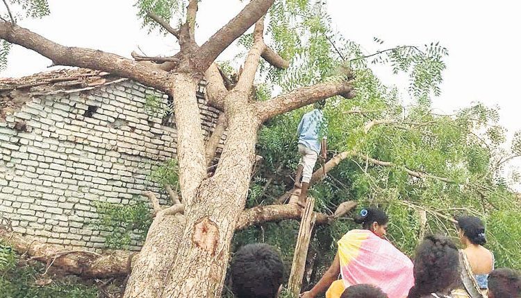 అకాల వర్షం