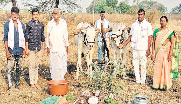 ప్లవకు స్వాగతం.. సాగుకు శ్రీకారం..