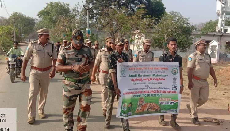 అడవుల సంరక్షణకు కృషి చేయాలి