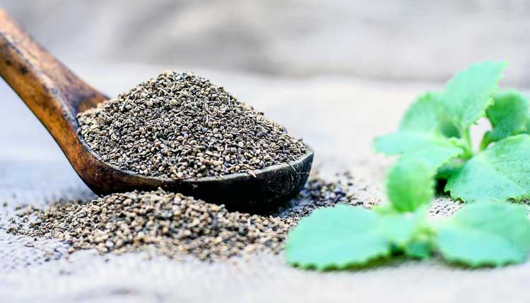 వాముతో ఎన్ని లాభాలో తెలుసా..?