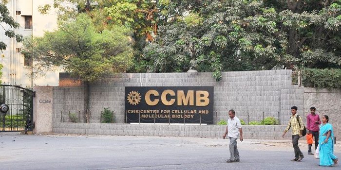 మనుషులపై కరోనా యాంటీ బాడీ థెరపీ?