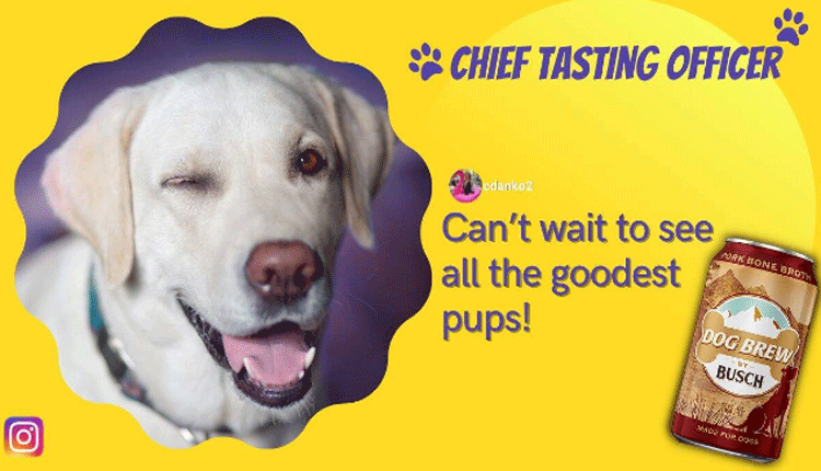 రూ.15 ల‌క్ష‌ల వేత‌నంతో.. కుక్క‌కు కొలువు