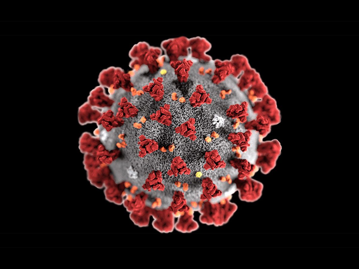 ఏపీలో 10 వేలకు చేరువలో పాజిటివ్‌ కేసులు.. ఒకేరోజు 38 మంది మృతి