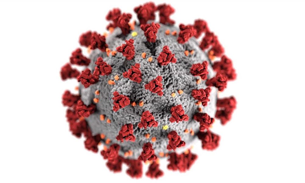 ఏపీలో కొత్తగా 2,765 కరోనా కేసులు