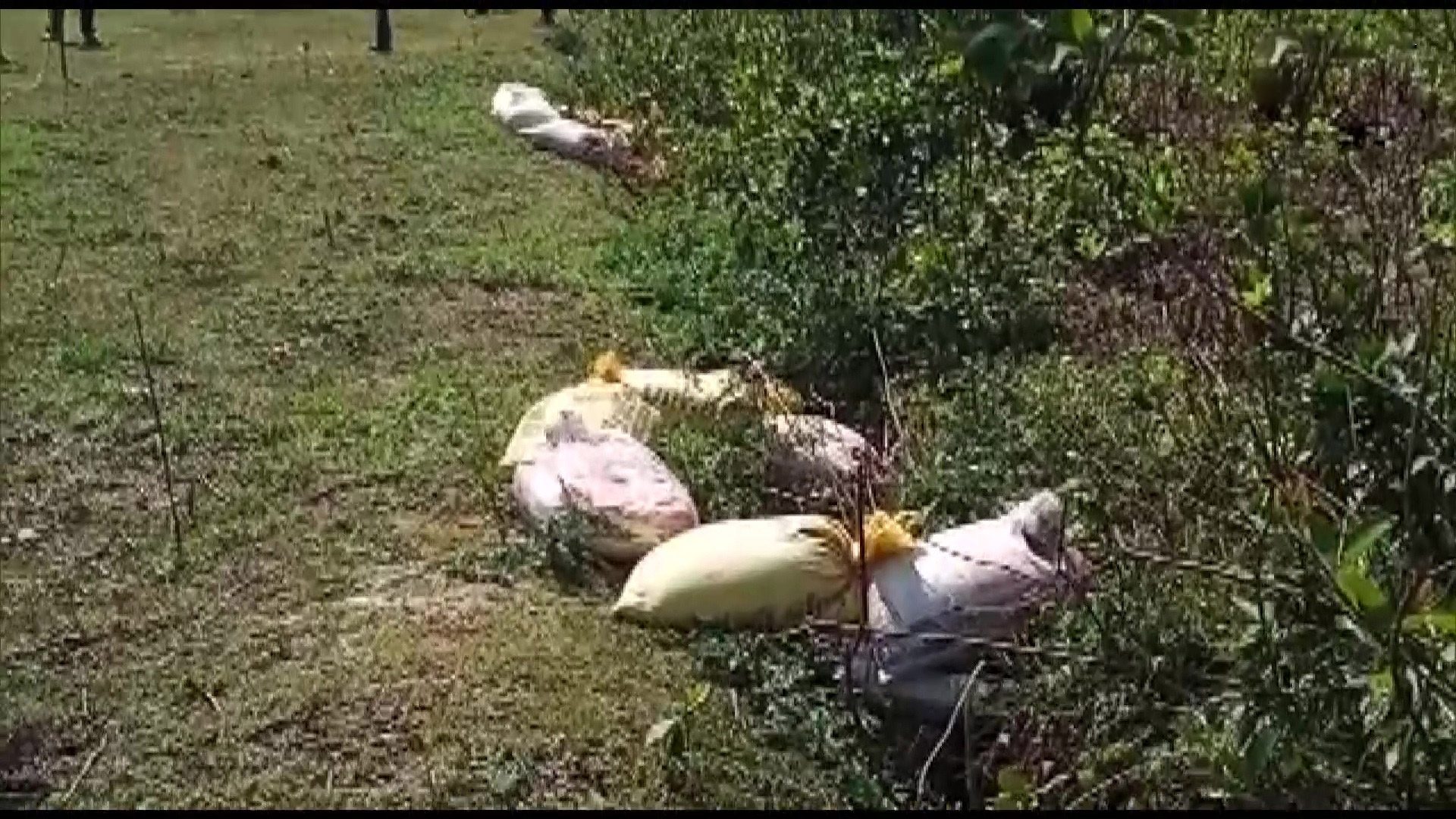 బెంగాల్‌లో భారీగా పెట్రోల్ బాంబులు