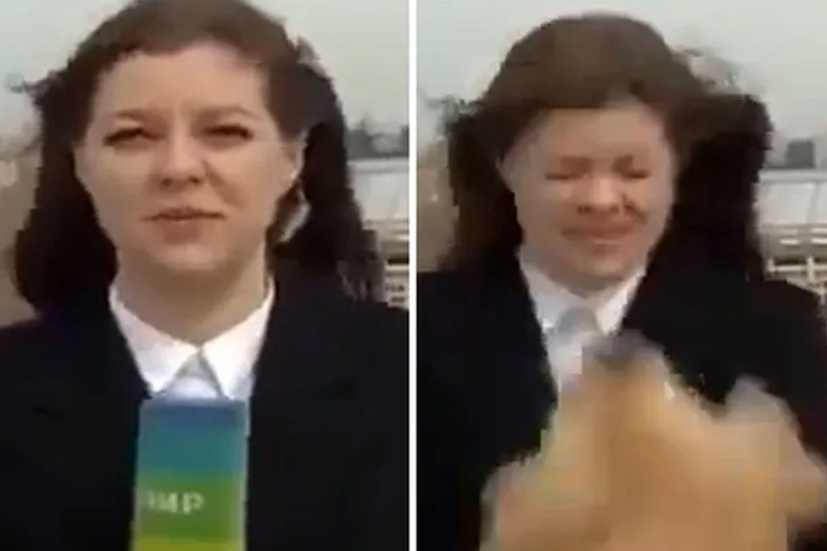 లైవ్‌లో రిపోర్టర్‌ మైక్రోఫోన్‌ ఎత్తుకెళ్లిన కుక్క