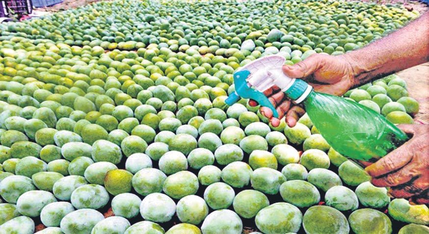 పండ్లను మగ్గబెట్టే ఎన్‌రైప్‌