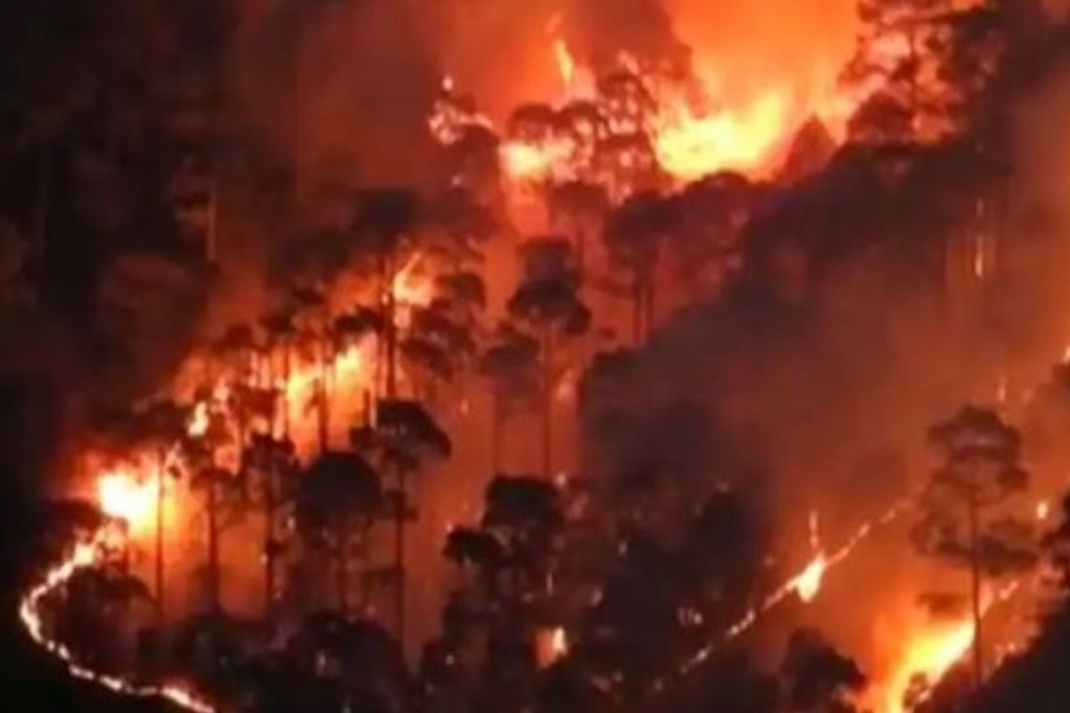 ఉత్తరాఖండ్ అడవుల్లో కొనసాగుతున్న దావానలం