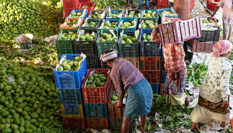 పండ్ల మార్కెట్‌ తాత్కాలిక నిర్వహణకు స్థలాల పరిశీలన