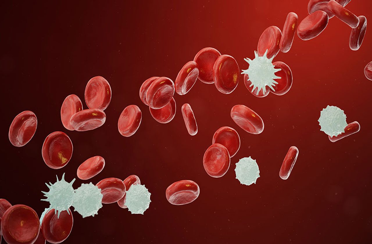 బ్లడ్‌ క్యాన్సర్‌.. లక్షణాలు ఎలా ఉంటాయి.. చికిత్స ఏంటి..?