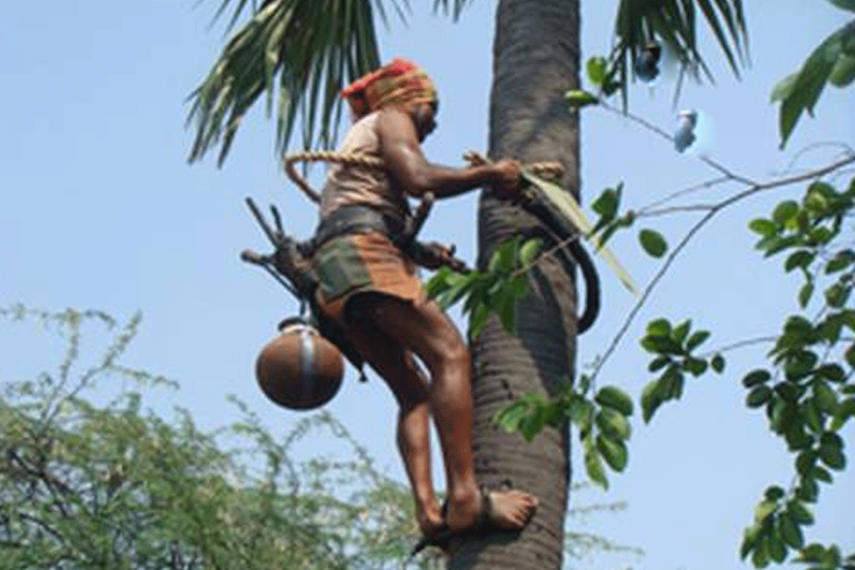 తాటిచెట్టు పైనుంచి పడి గీత కార్మికుడికి తీవ్ర‌గాయాలు