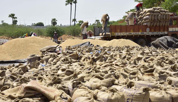 ధాన్యం కొనుగోళ్లపై పకడ్బందీ పర్యవేక్షణ