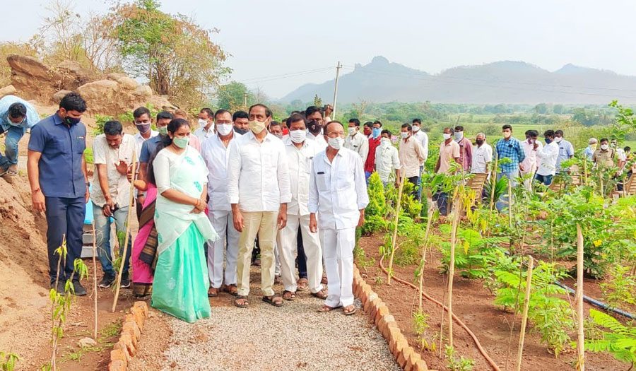 అడవులను కాపాడుకోవాలి