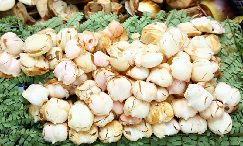 ముంజ మజా