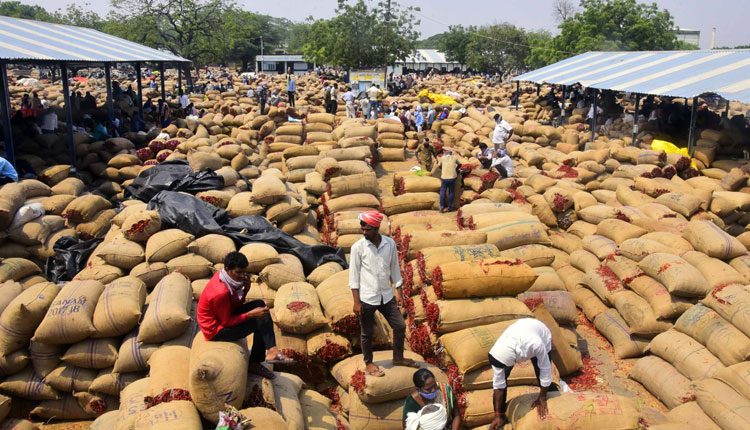 పోటెత్తిన ఎర్ర బంగారం