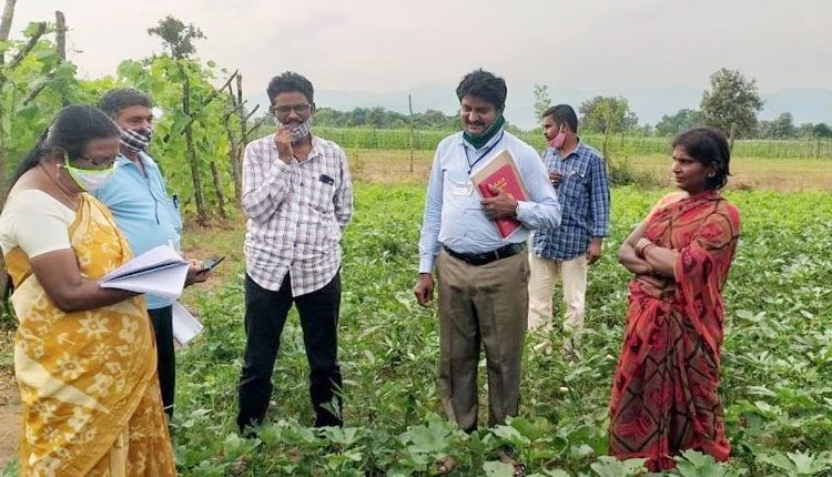 మహిళా రైతులకు దన్ను.. ఉత్పత్తిదారుల సంఘం