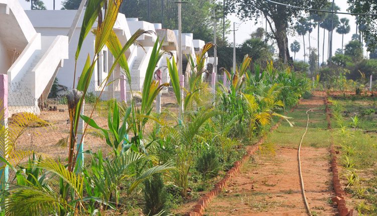 ఆ పల్లె.. ప్రగతి ముల్లె!