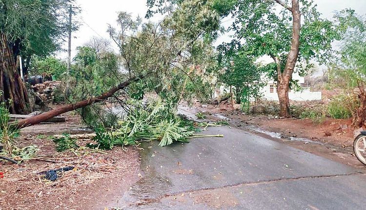 ఈదురుగాలుల బీభత్సం