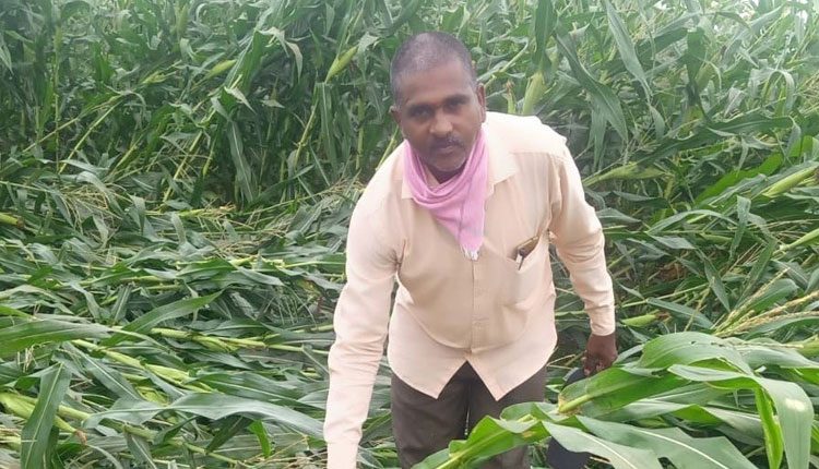 అకాల బీభత్సం