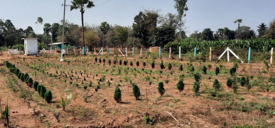 పల్లె చిన్న.. ప్రగతి మిన్న