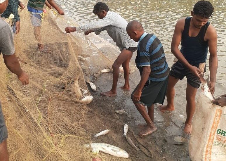మత్సకారులరు ఉపాధి