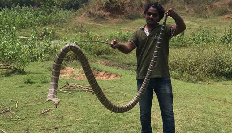 నూకాల‌మ్మ జాత‌ర‌లో గిరినాగు ప్ర‌త్య‌క్షం.. భ‌యంతో ప‌రుగులు తీసిన జ‌నం..!