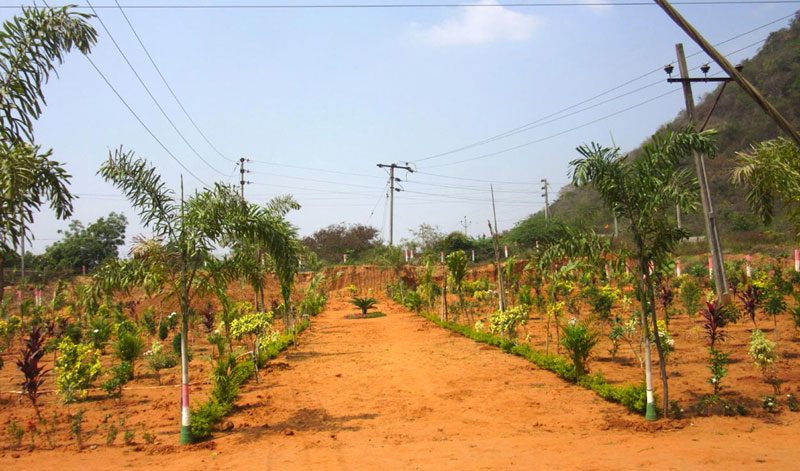 శెభాష్‌.. సుభాశ్‌నగర్