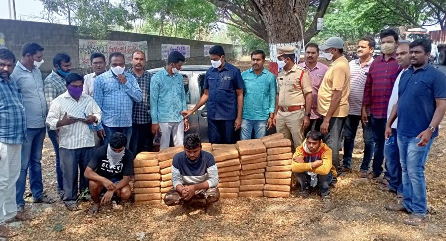 రూ.30లక్షల గంజాయి పట్టివేత