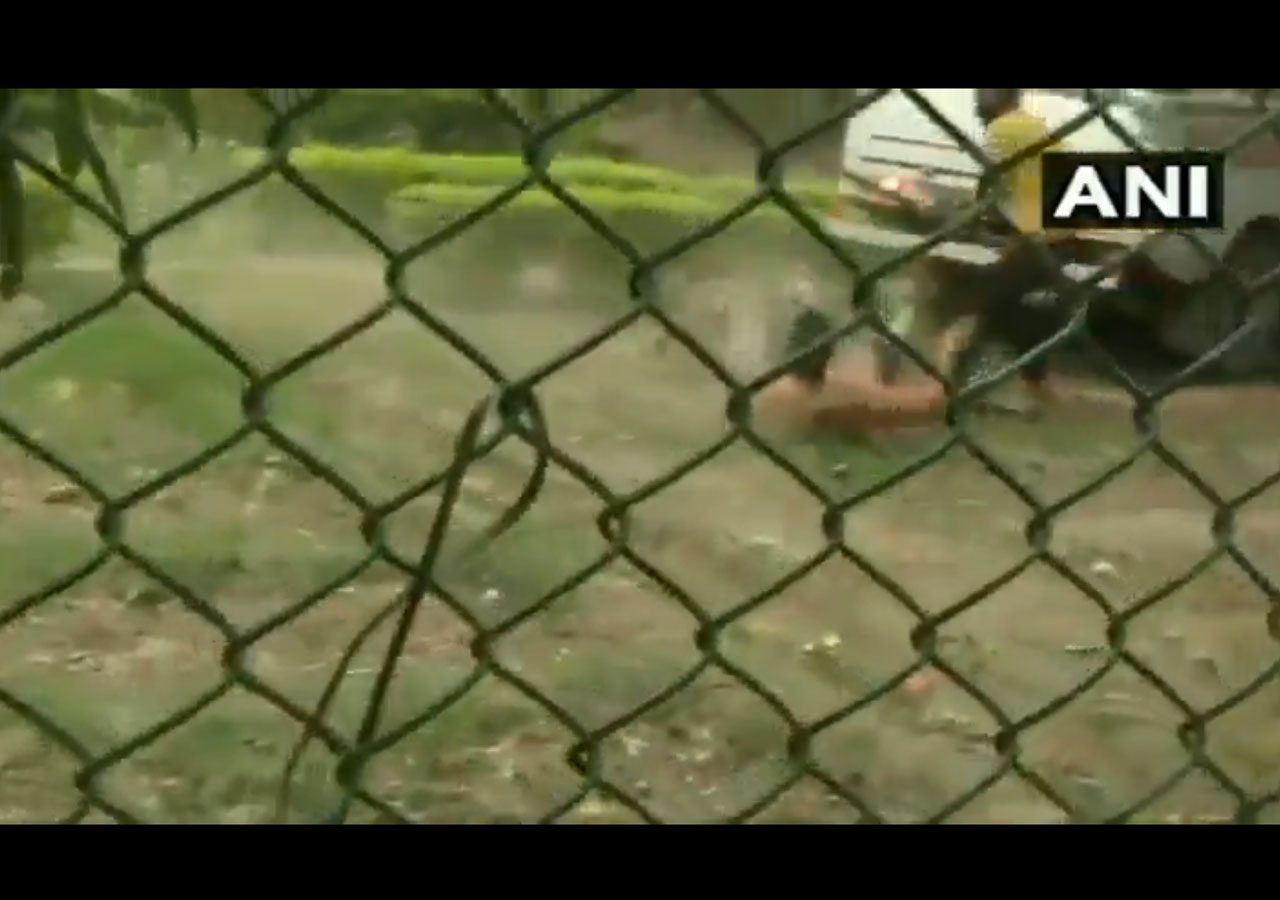 పార్కులో చిరుత‌దాడి.. వ్య‌క్తికి తీవ్ర గాయాలు.. వీడియో