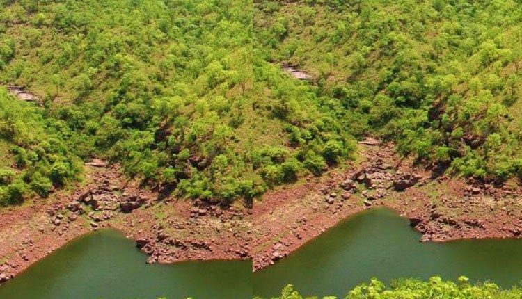 నల్లమల సేఫ్