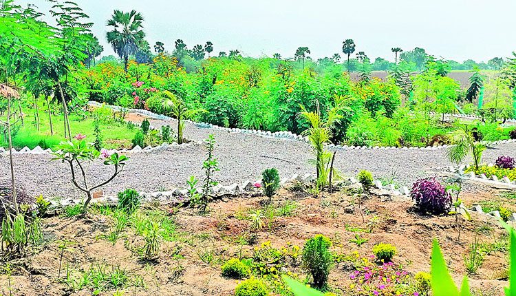 కోతులనడుమకు కొత్త వెలుగు