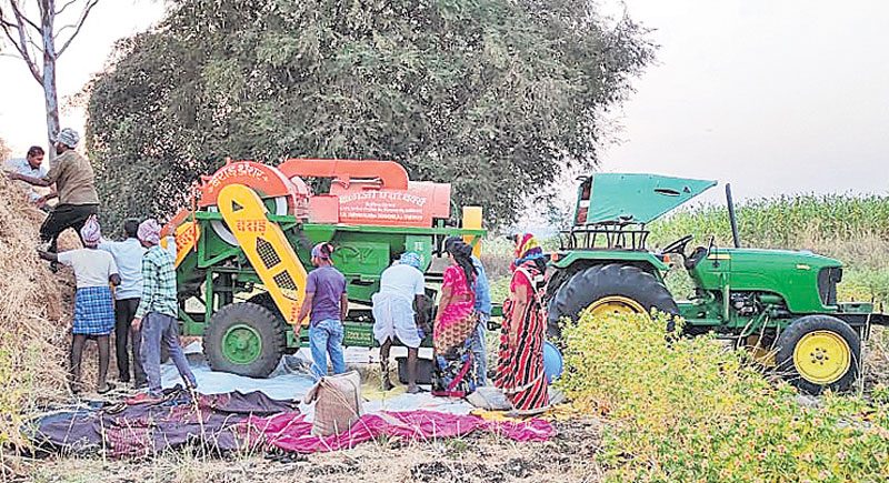 జోరుగా యాసంగి పంటల సాగు