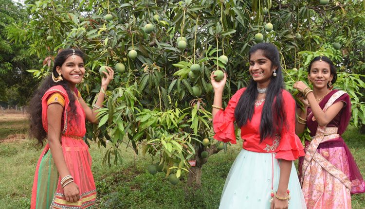 నేడు ‘ప్లవ’ నామ సంవత్సరాది యుగాదికి ఆది ఉగాది