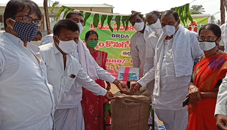 కాళేశ్వరంతో  నర్సాపూర్‌  సస్యశ్యామలం