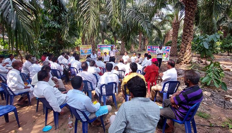 ఆయిల్‌పాం క్షేత్ర సందర్శన