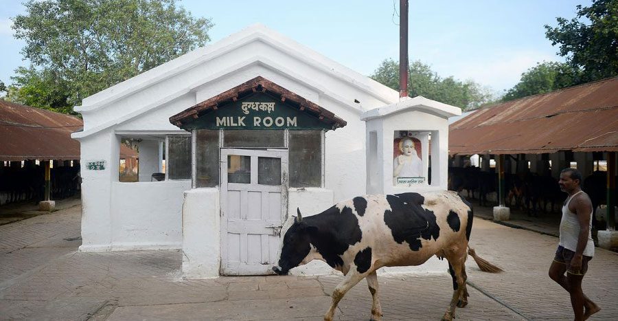 మిలిటరీ డెయిరీఫాంలు మూసివేత