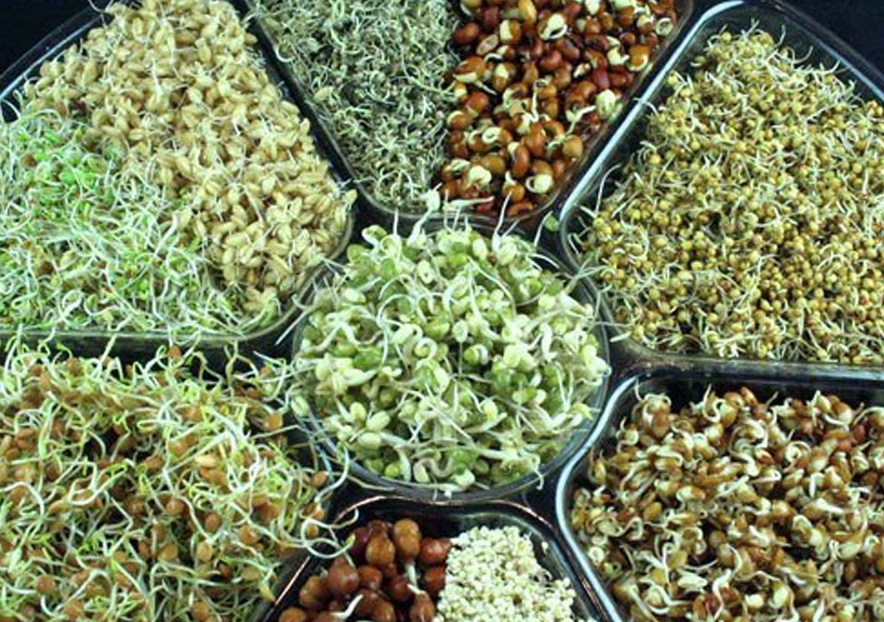 షుగ‌ర్ పేషెంట్లు వేస‌విలో ఎలాంటి స్నాక్స్ తీసుకోవాలి..?