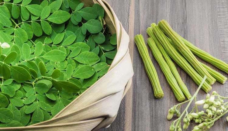 మున‌క్కాయ‌ల కంటే మున‌గాకే ఆరోగ్య‌క‌రం..!