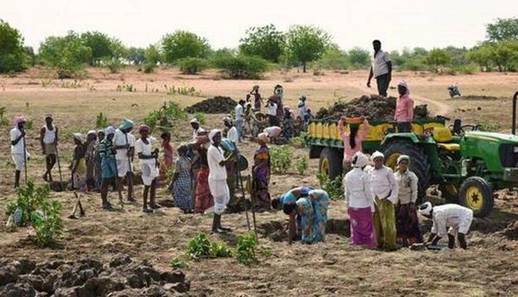 ఉపాధి హామీ రోజువారీ కూలీ పెంపు