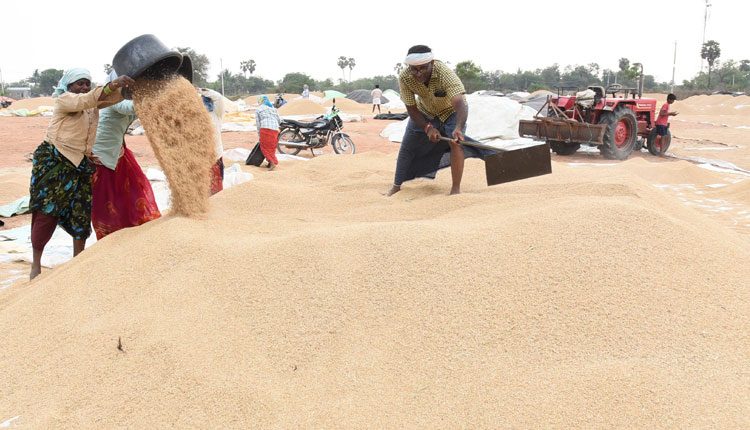 కొర్రీలు లేకుండా కొనుగోళ్లు