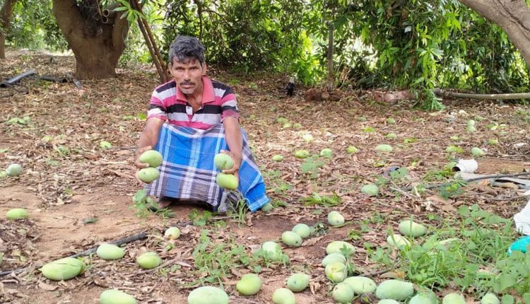 అలజడి వాన