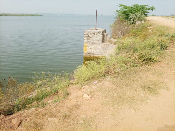 నల్లచౌట చెరువు గోస తీరింది