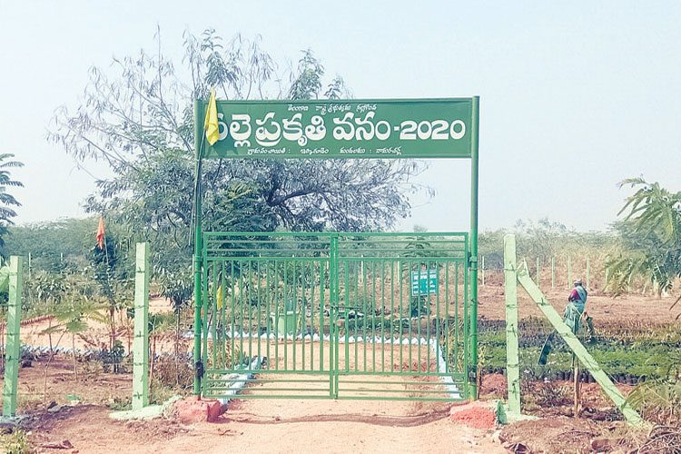 రాతినేలపైరాజీలేని ప్రగతి