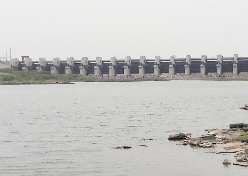 వివక్ష వీడిన టెయిల్‌పాండ్