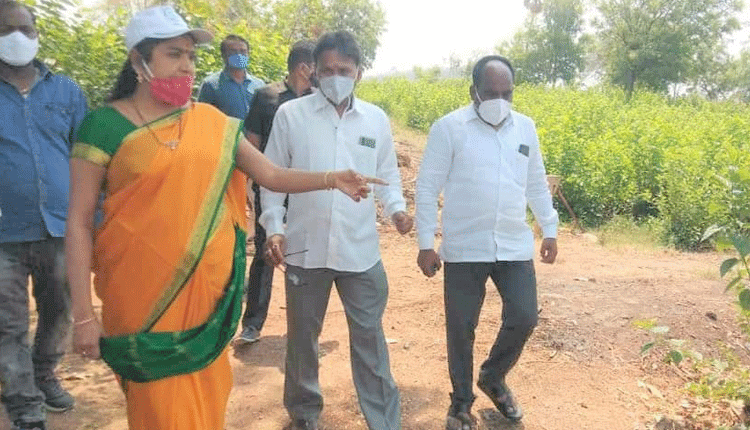 పట్టుపరిశ్రమ అభివృద్ధికి చర్యలు తీసుకోవాలి